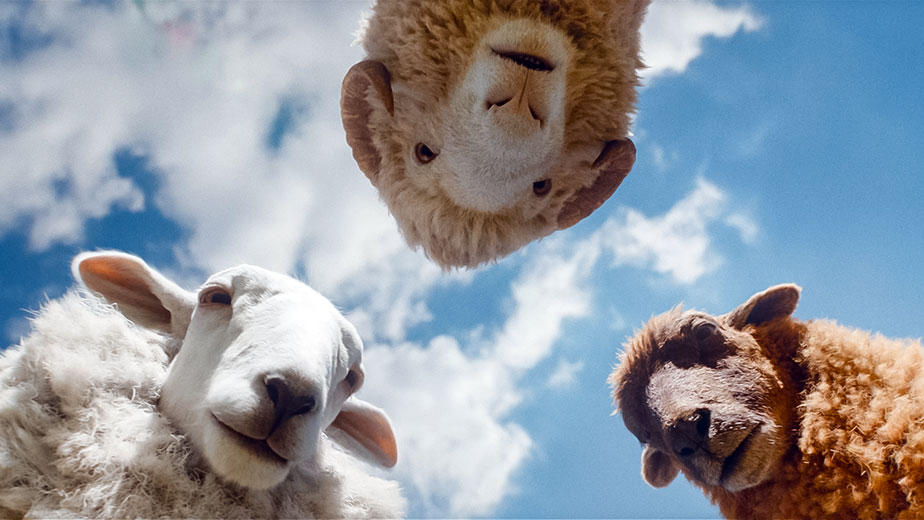 Glennkill Ein Schafskrimi Film 01